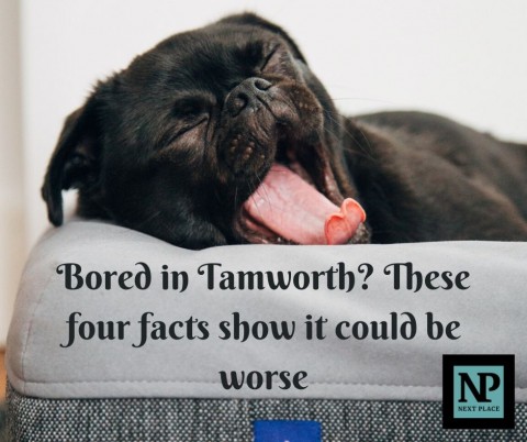Bored in Tamworth? These four facts show it could be worse