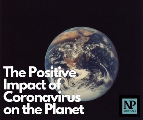 The Positive Impact of Coronavirus on the Planet