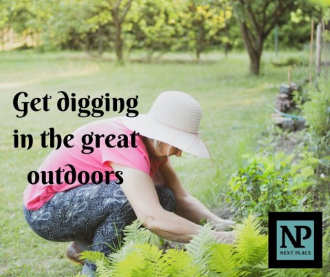 Get digging in the great outdoors 