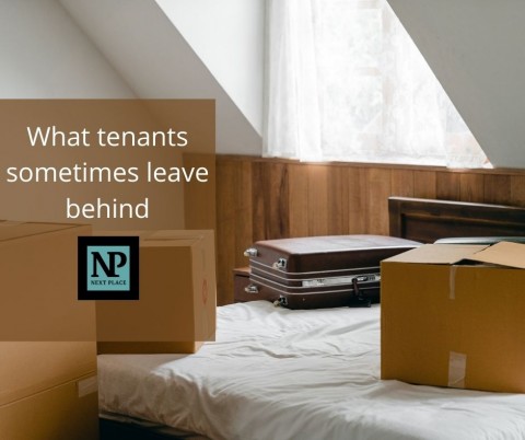 The Weird and Not So Wonderful Things That Tenants Leave Behind