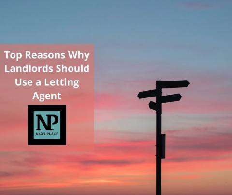 Top Reasons Why Landlords Should Use a Letting Agent