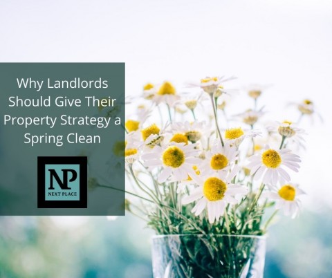 Why Landlords Should Give Their Property Strategy a Spring Clean