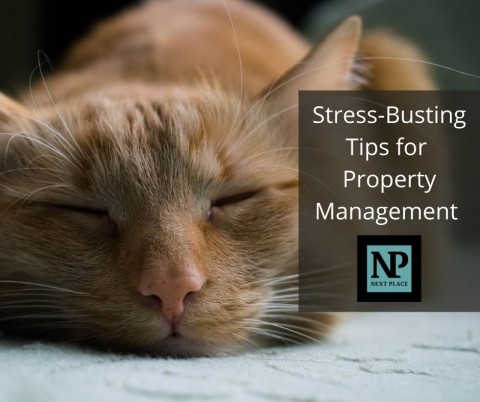 Stress-Busting Tips for Property Management 