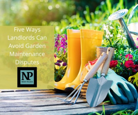 Five Ways Landlords Can Avoid Garden Maintenance Disputes